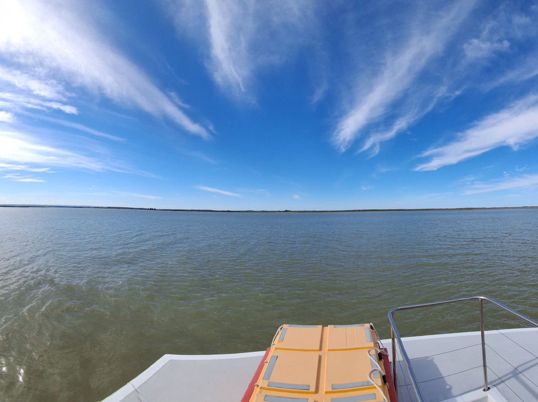 Spirit of the Coorong Cruises-Goolwa必去景点