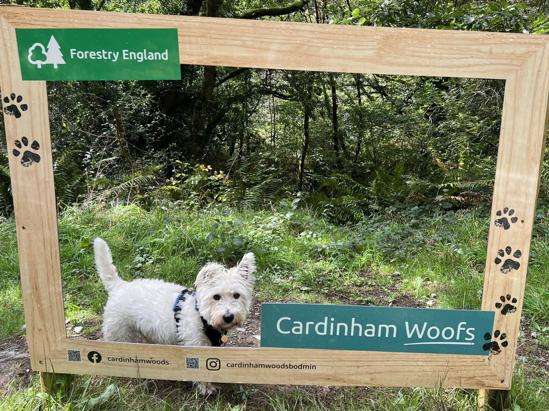 Cardinham Woods - Forestry England-博德明必去景点