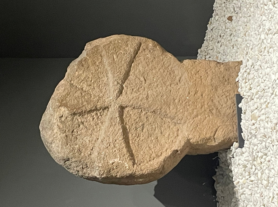 Prehistory and Archaeology Museum of Cantabria-桑坦德必去景点