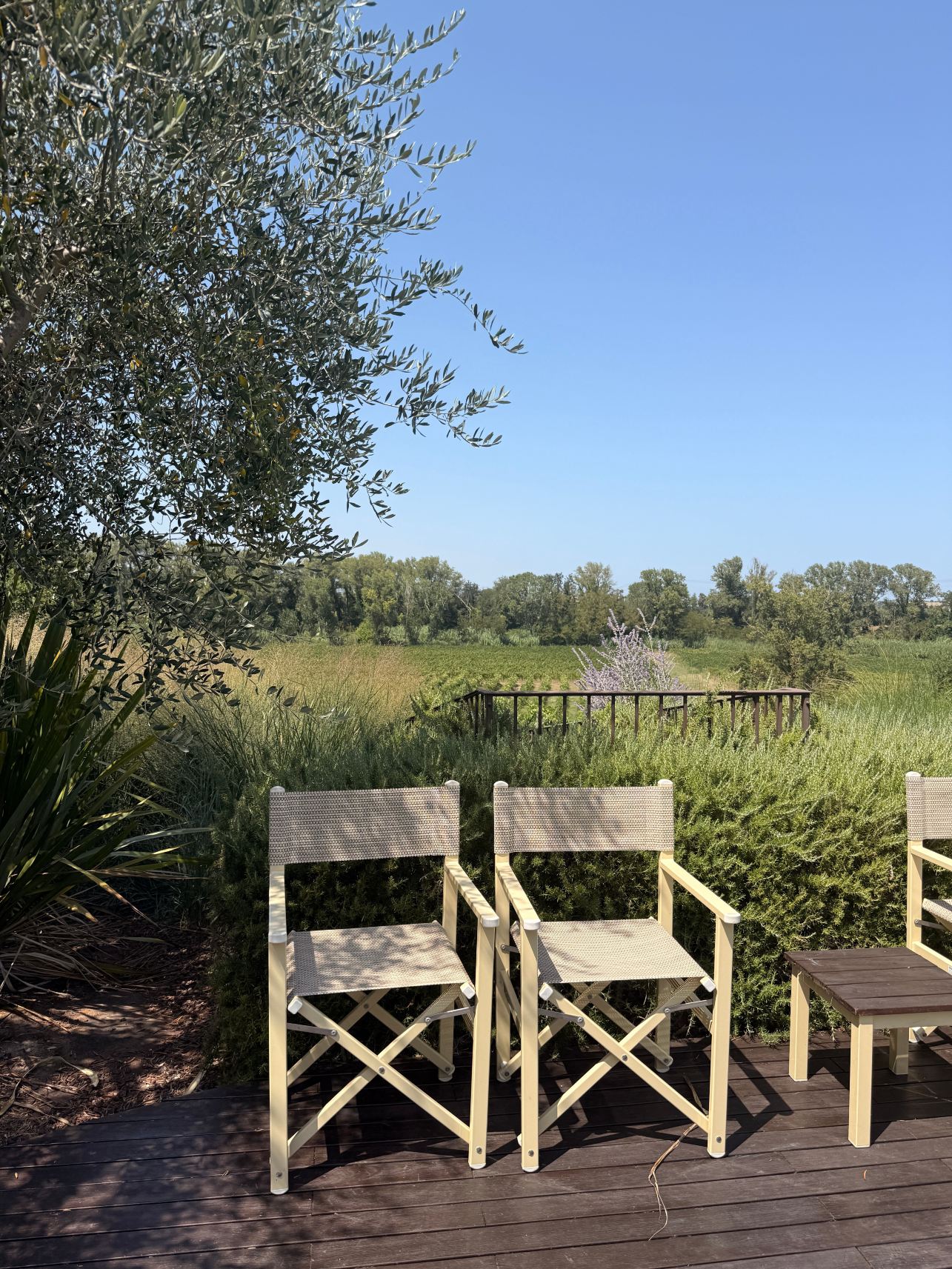Agriturismo La Graziosa-旅行者