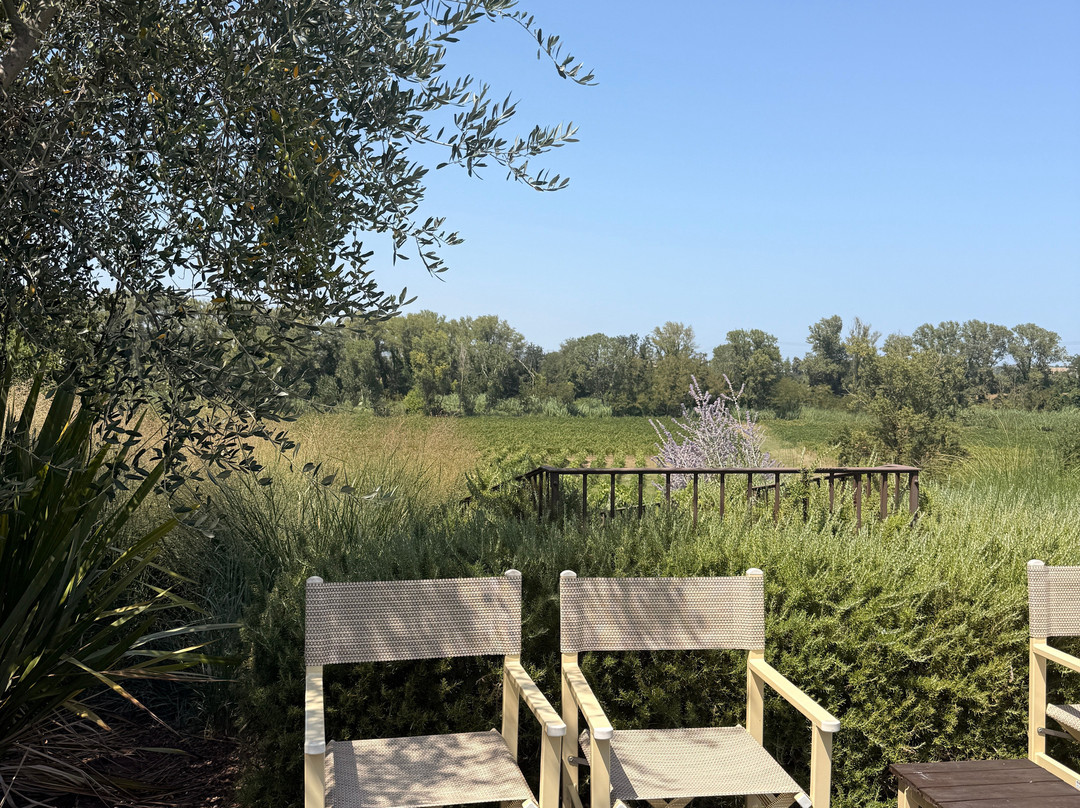 Agriturismo La Graziosa主图