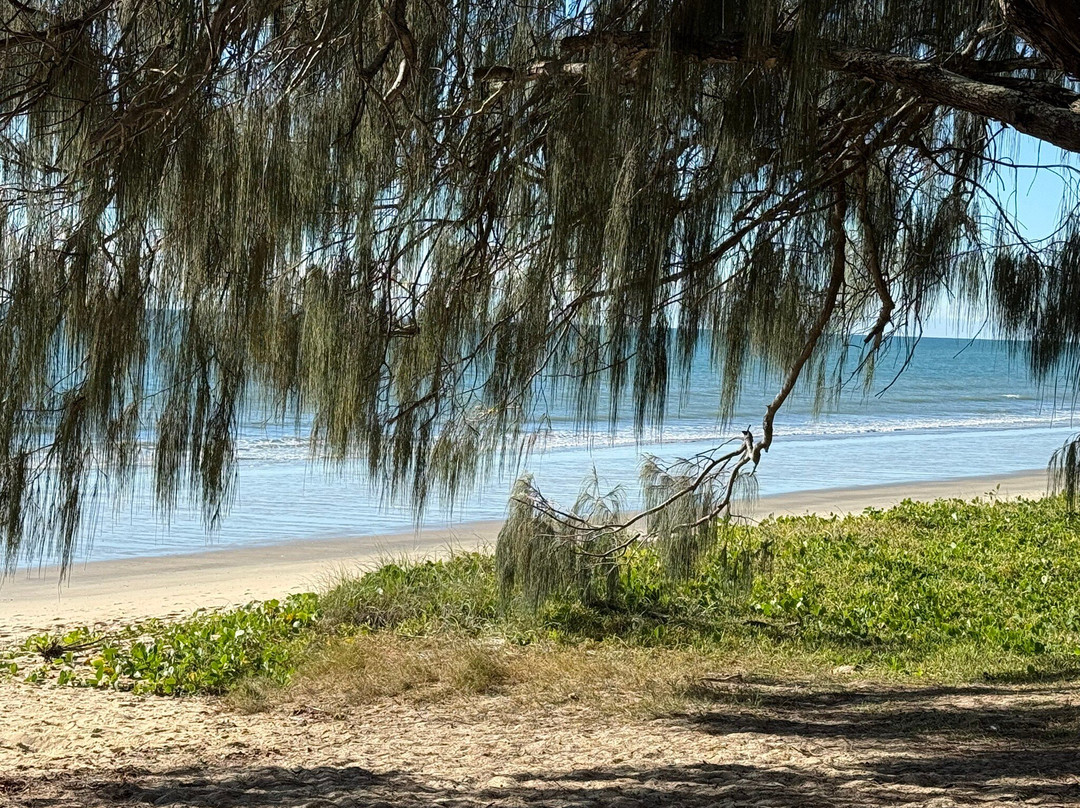 Woodgate Beach-邦德堡必去景点