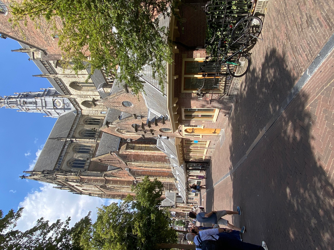 Sint-Bavokerk (Church of St. Bavo)-哈勒姆必去景点