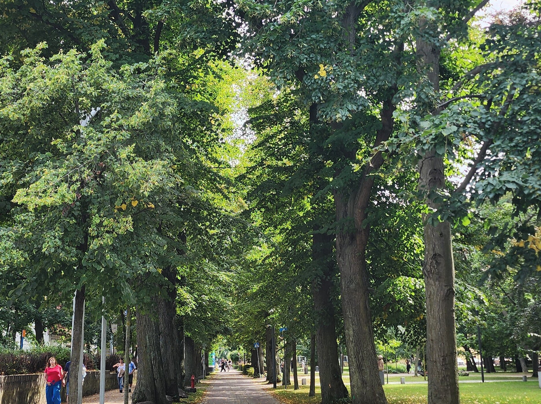 Sopot Beach-索波特必去景点