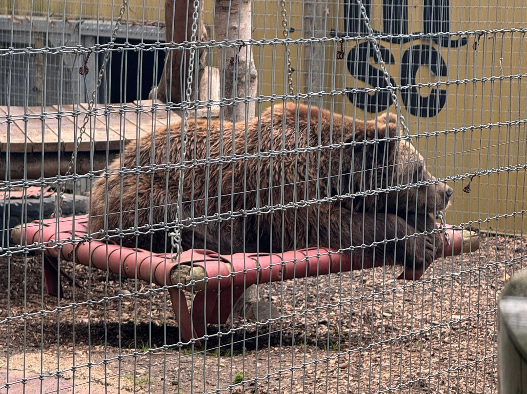 Jimmy's Farm & Wildlife Park-伊普斯威奇必去景点
