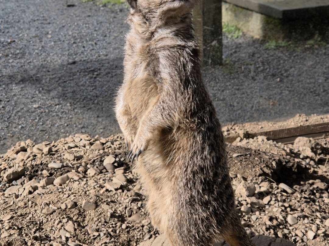 The Lake District Wildlife Park-Bassenthwaite必去景点