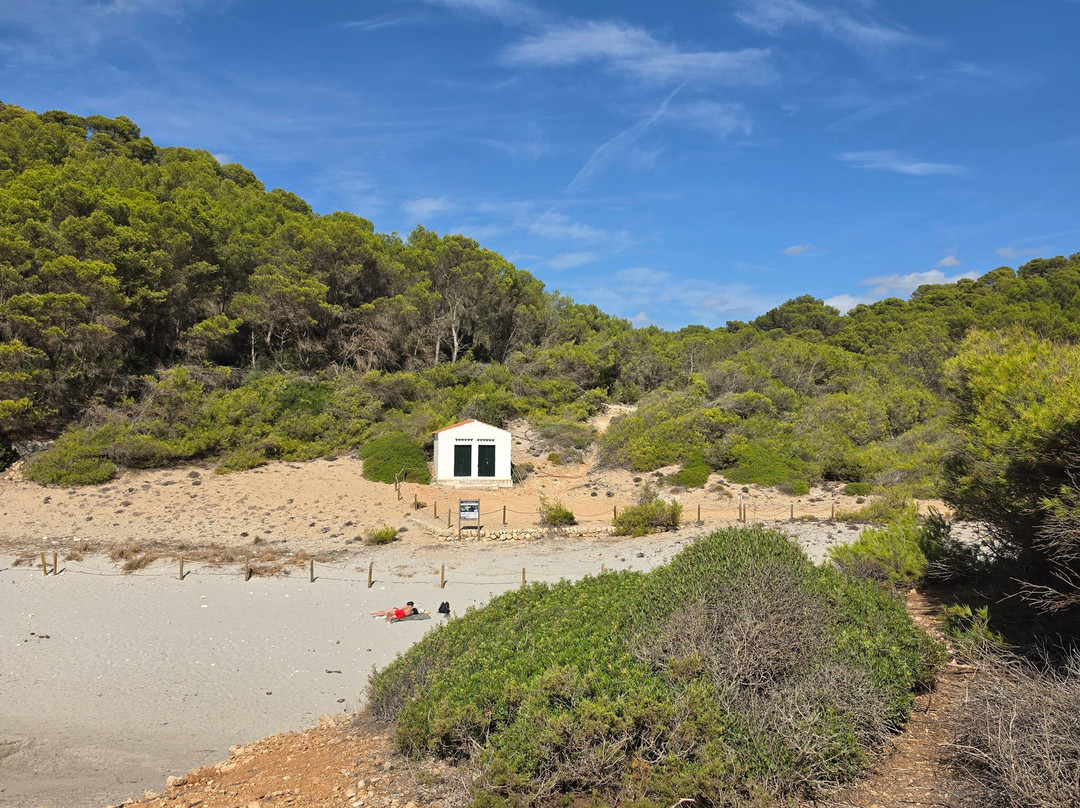 Cala Escorxada-Migjorn Gran必去景点