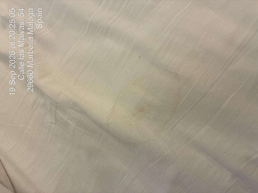 哈德洛克马贝拉酒店 - 波多诺斯港主图