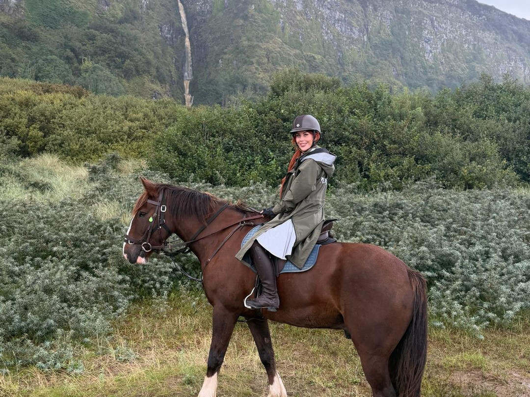 Bespoke Equestrian Ireland-都柏林必去景点