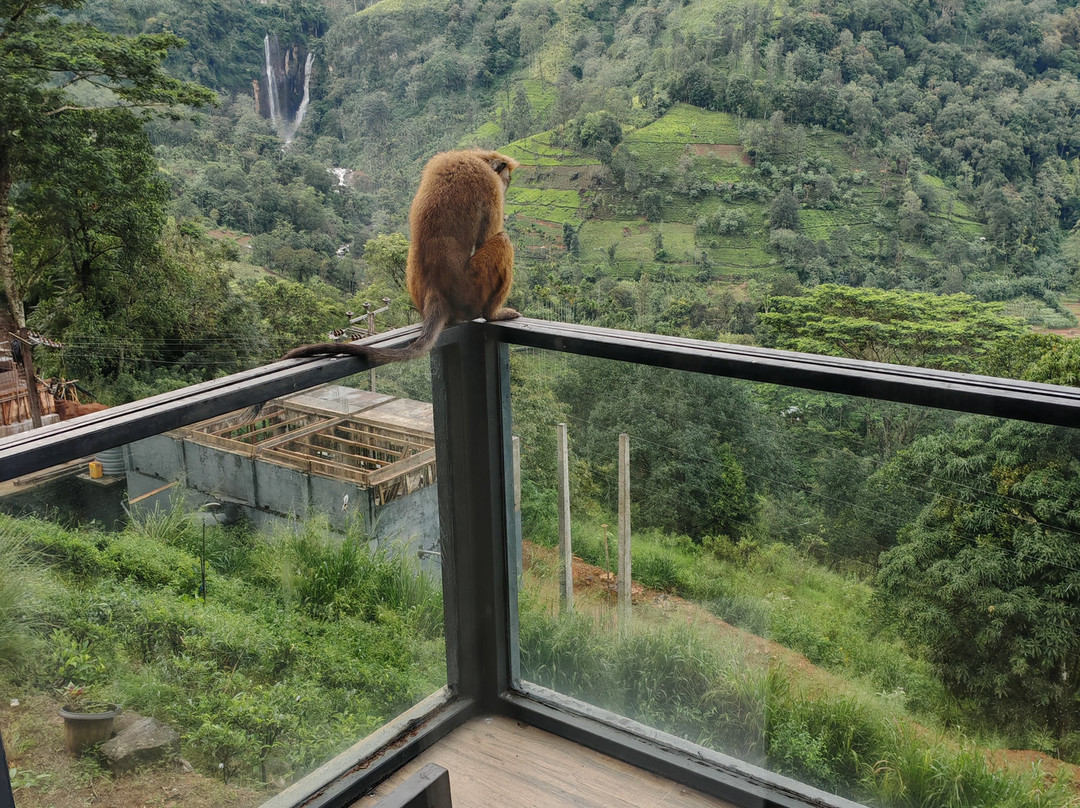 橡光茶语山居主图