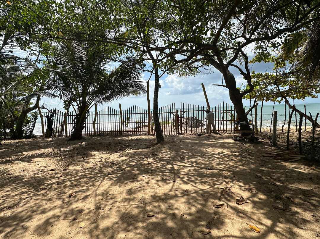 Medaketiya Activity Beach-唐卡拉必去景点
