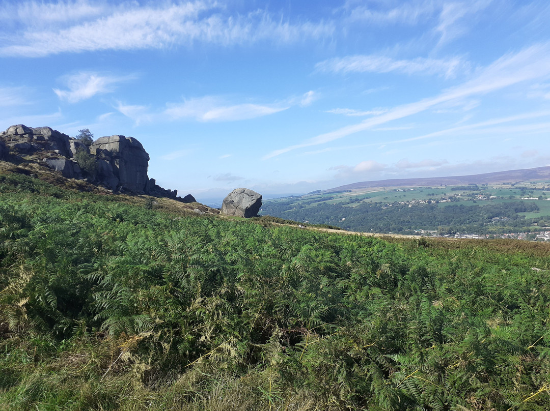 Ilkley Moor Cow & Calf Rocks-伊尔克利必去景点
