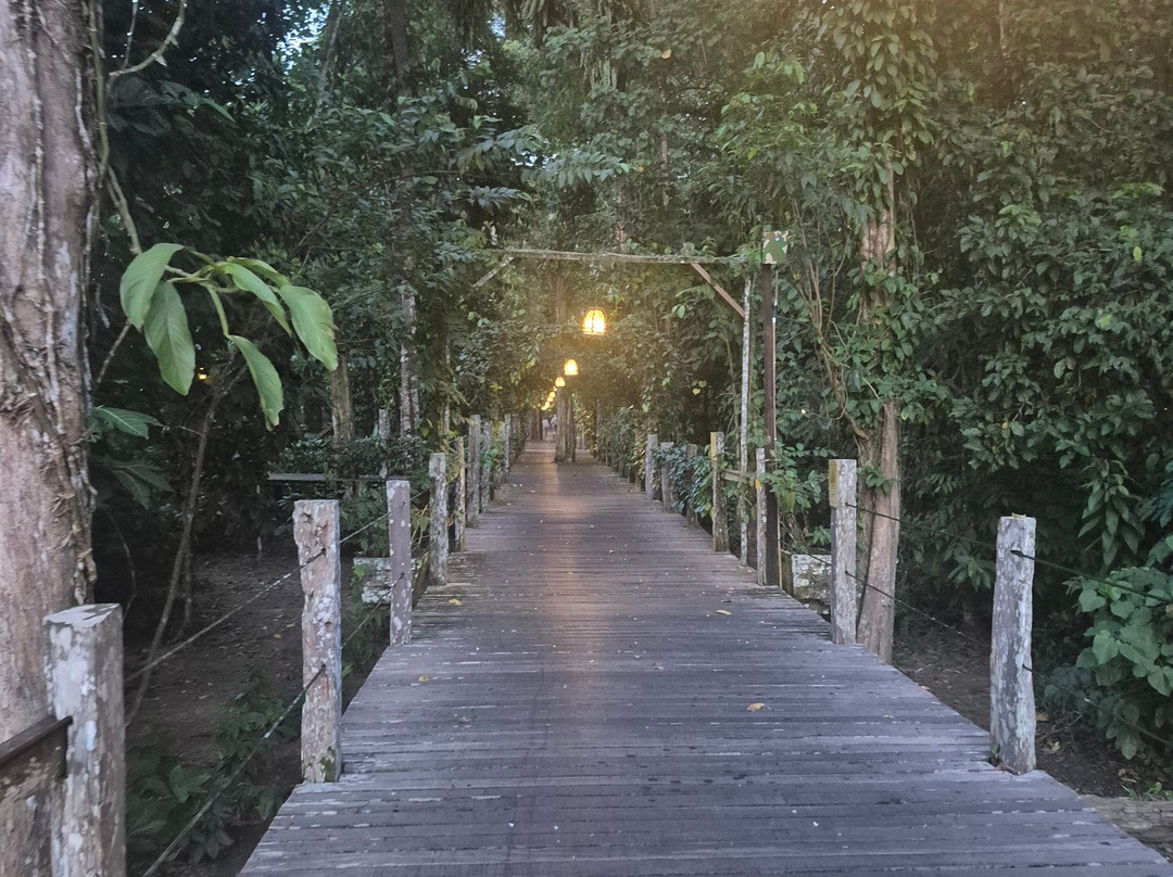 Borneo Eco Tours-亚庇必去景点