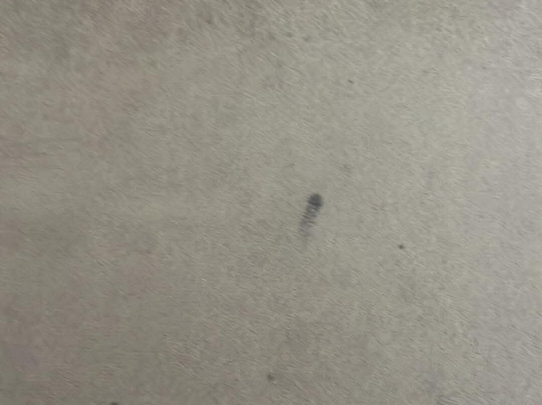 牟拉迪皇宫主图