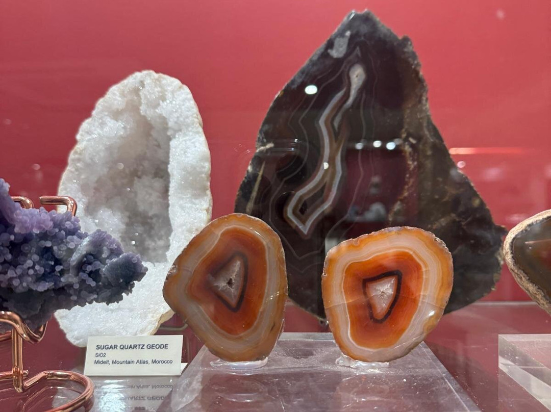 Museum of Mineralogy & Paleontology Stamatiadis-Ialysos必去景点