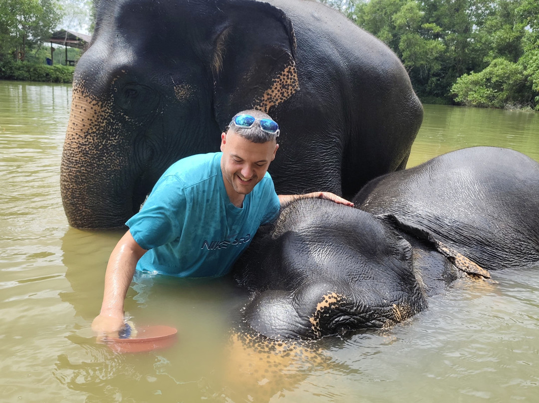 The Lake Phuket Elephant Home-Thep Krasatti必去景点