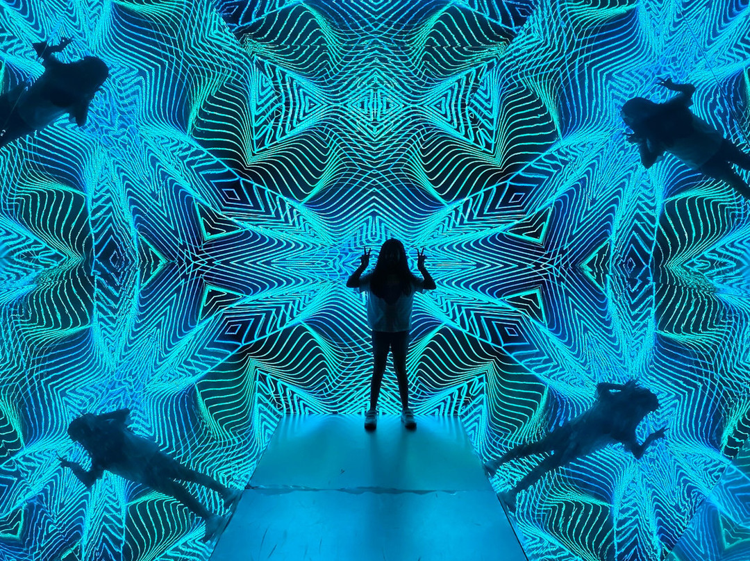 Museum Of Illusions-约翰内斯堡必去景点