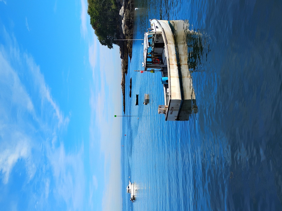 Hardy Boat Cruises-New Harbor必去景点