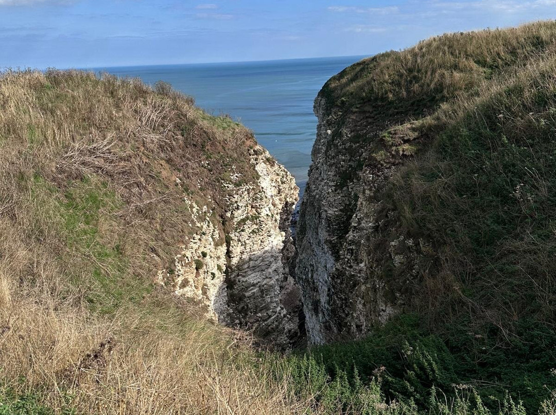 RSPB Bempton Cliffs-Bempton必去景点