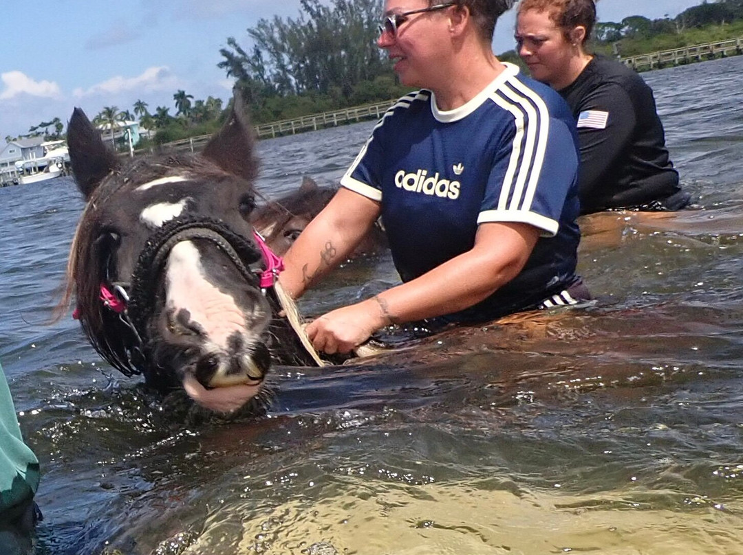 C Ponies Beach Horseback Rides-布雷登顿必去景点