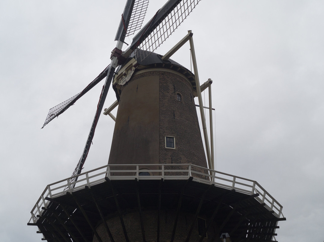 Red Lion Windmill (Molen De Roode Leeuw)-高德必去景点