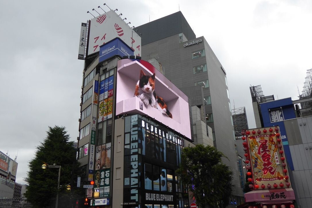 Giant 3d Cat Display Billboard-Shinjuku 3 Chome必去景点