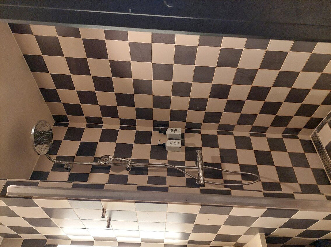 斯堪迪克法尔科纳酒店主图