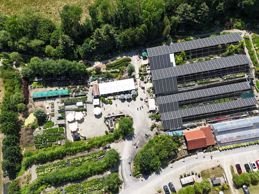 Hortensienpark Erbsmühle
