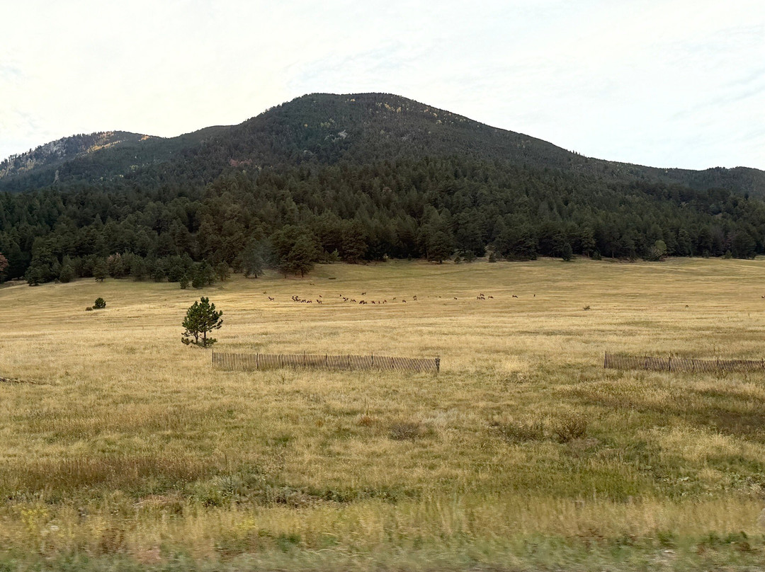 Elk Meadow Park-Evergreen必去景点
