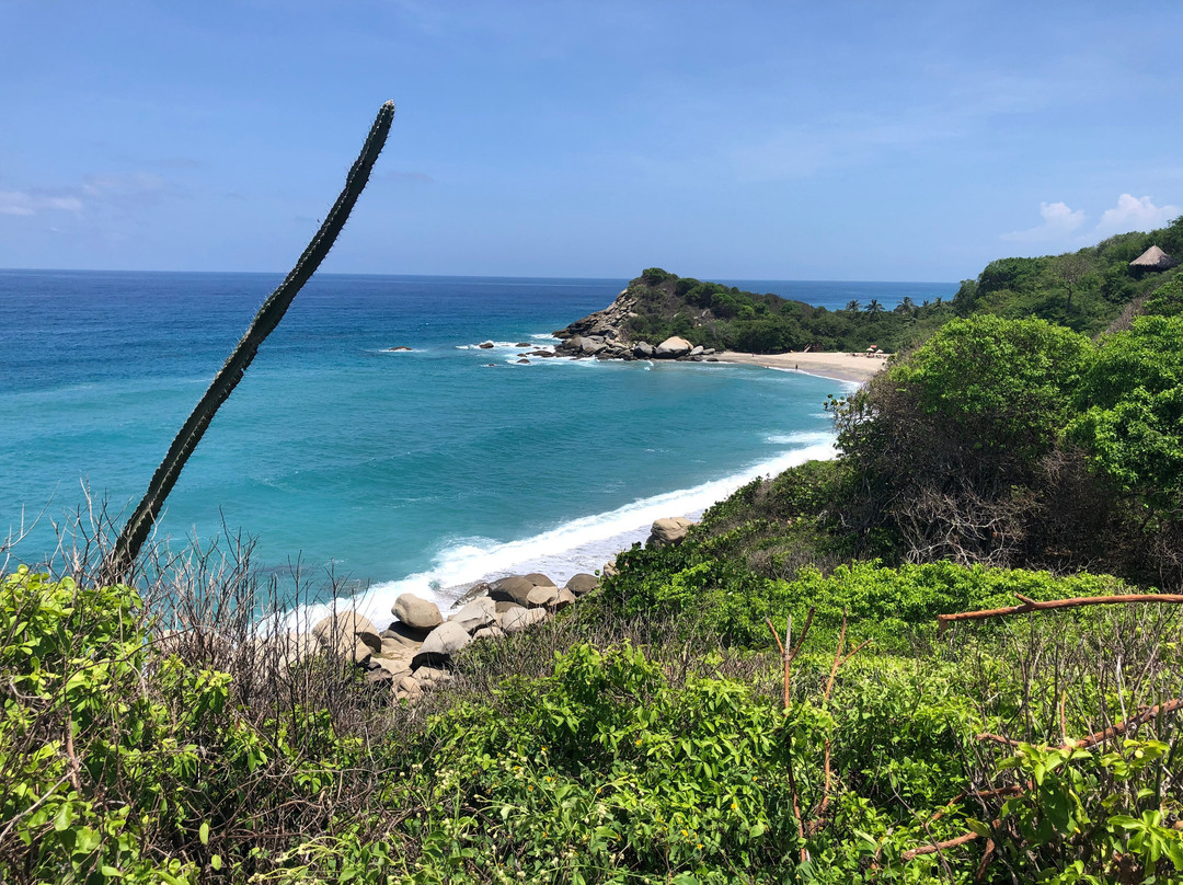 Tiny Houses Tayrona