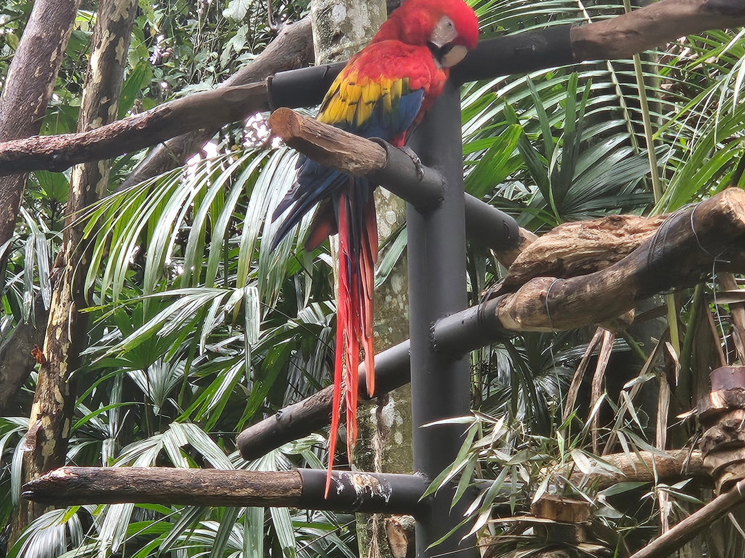 Rescate Wildlife Rescue Center-阿拉辉拉必去景点