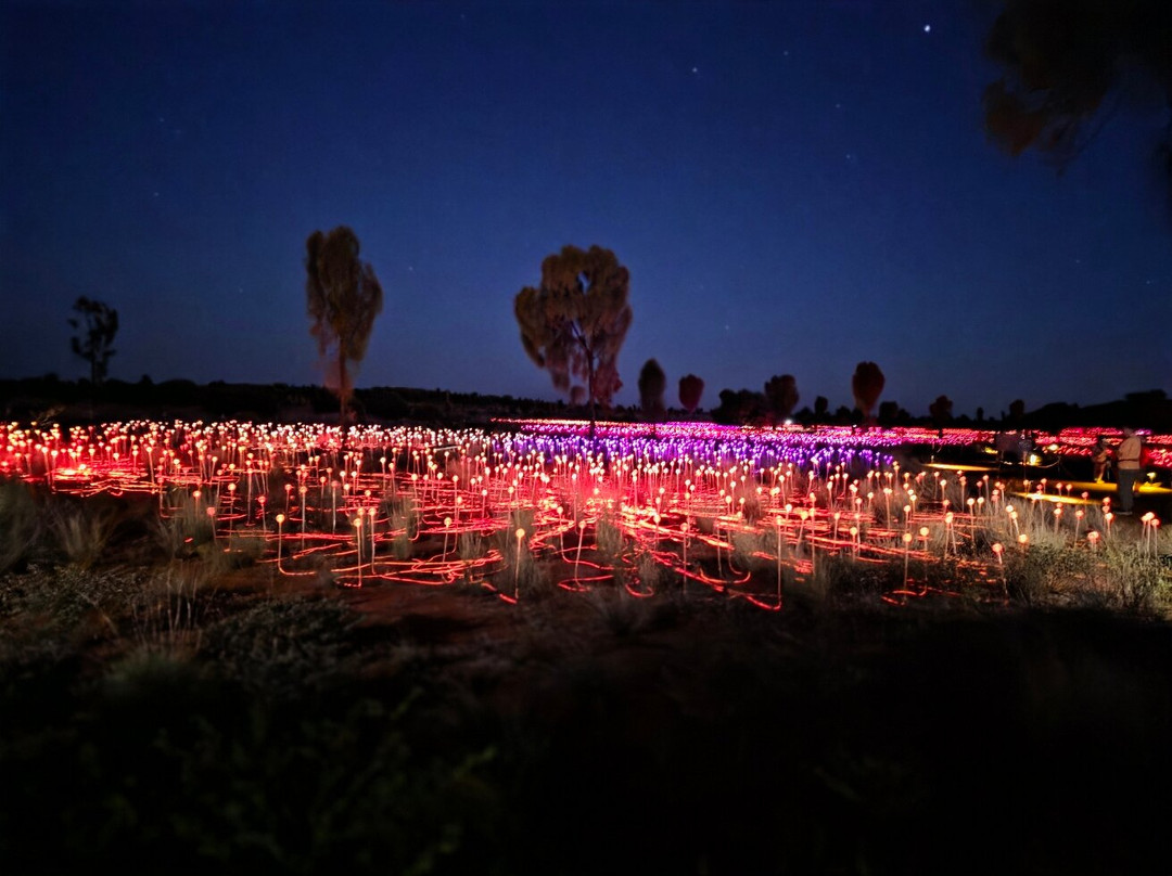 Field of Light-乌鲁鲁-卡塔丘塔国家公园必去景点