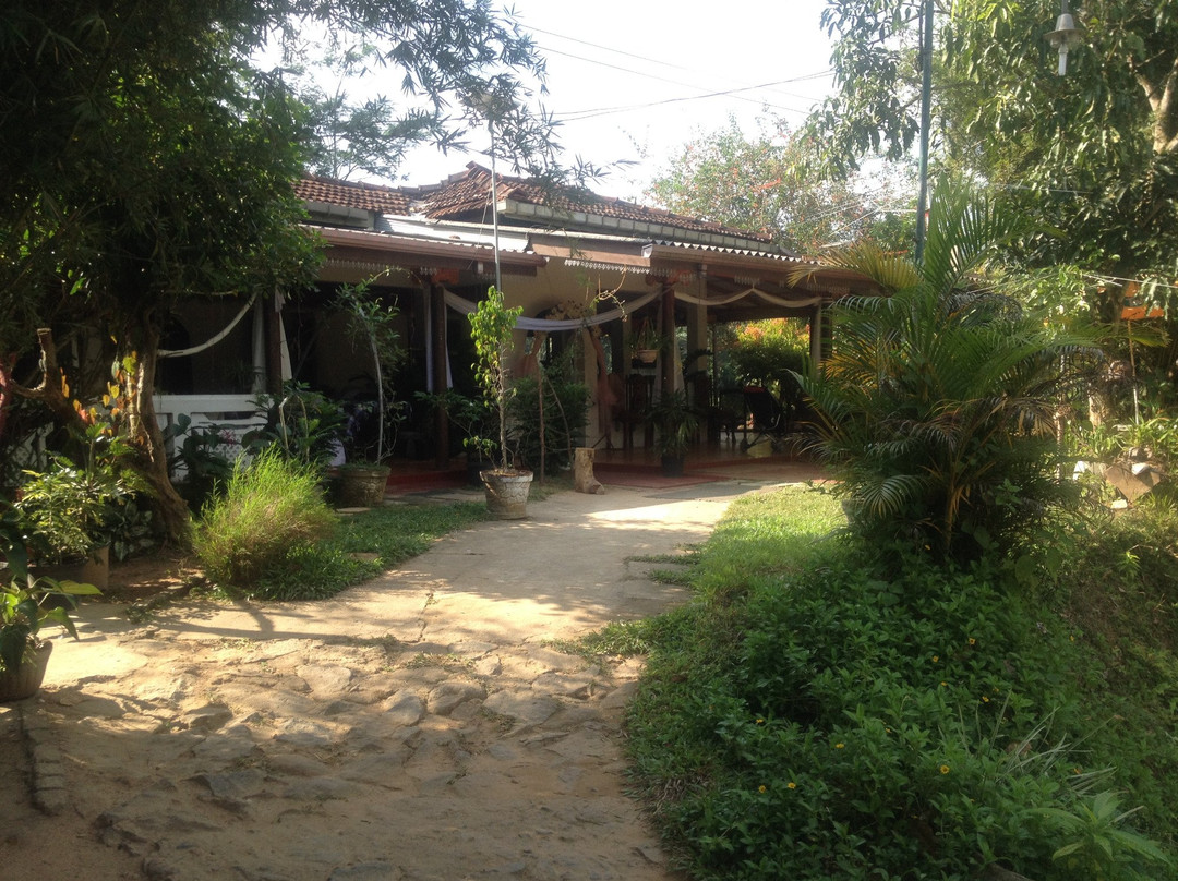 Sinharaja Green View