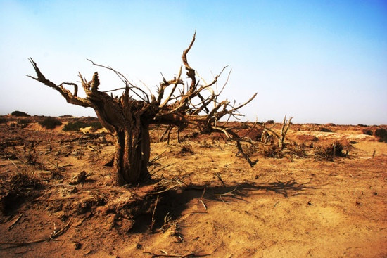 罗布泊南古城-若羌县必去景点