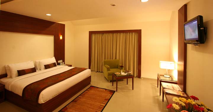 Hotel Le Castle-客卧