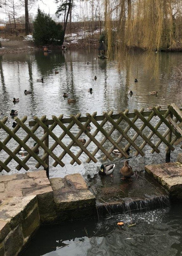 Schwanenteich Park-米特韦达必去景点