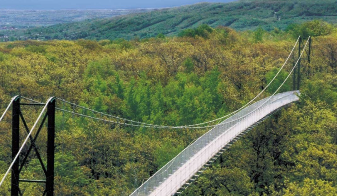 Scenic Caves Nature Adventures-蓝山必去景点