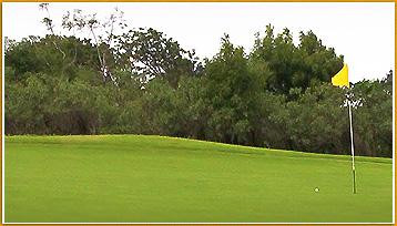 Belur Golf Course景点图片