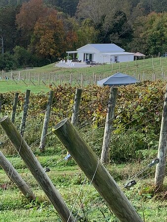 Grapes And Ladders Winery-Ellijay必去景点