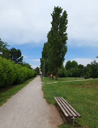 Parco Dei Tigli景点图片