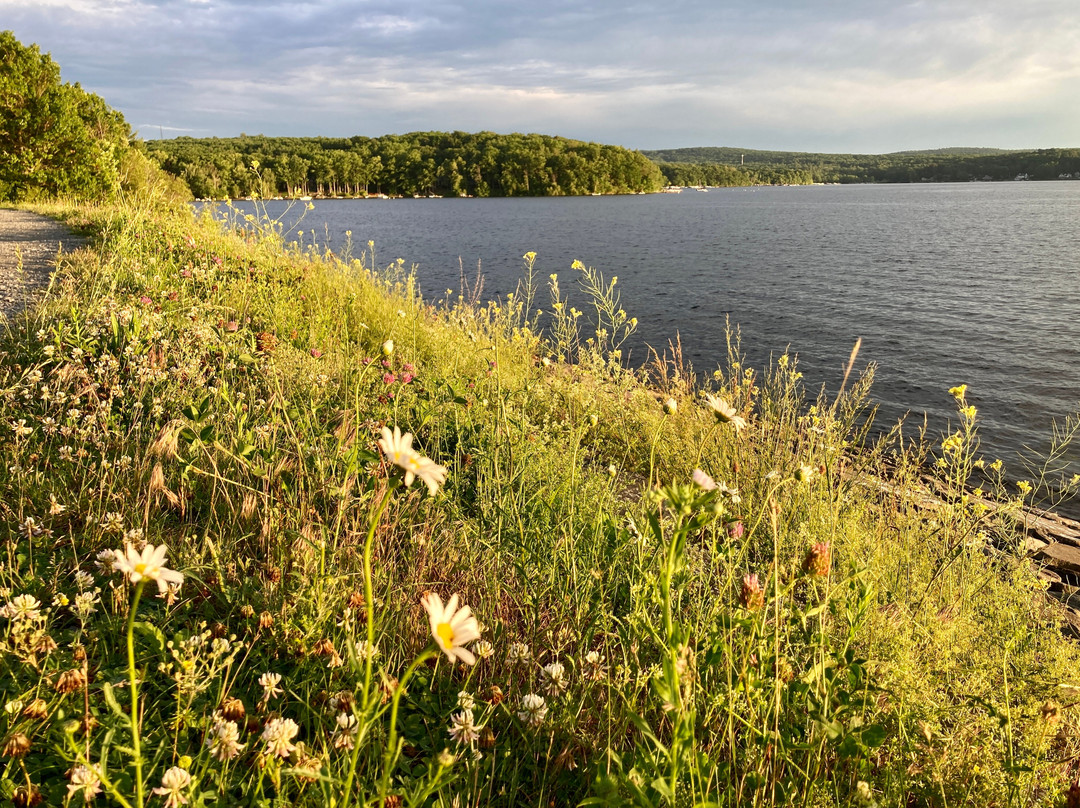 Wallenpaupack Lake Trail景点图片