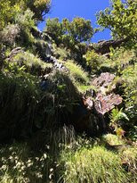 Jonkershoek Nature Reserve-斯泰伦博斯必去景点