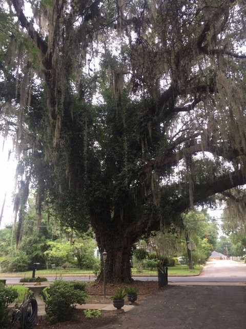 海军准将住宿加早餐酒店主图
