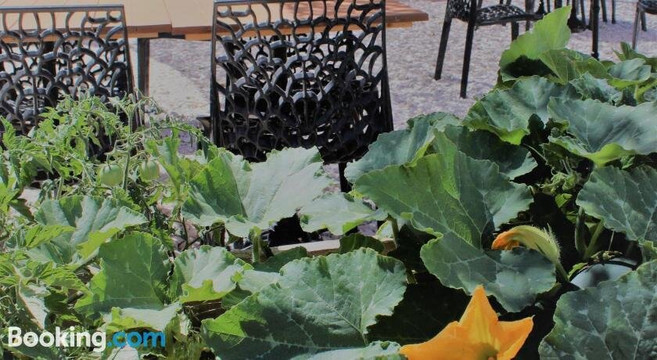 Port-Saint-Louis-du-Rhone酒店住宿-Les Saladelles