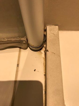 果岭大酒店主图