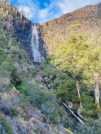 Pelverata Falls Track景点图片