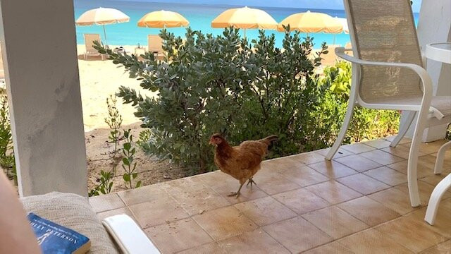 Carimar Beach Club主图