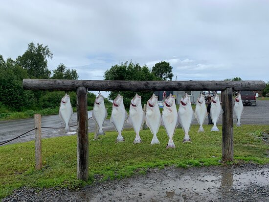 Discover Alaskan Adventures-尼尔奇克必去景点
