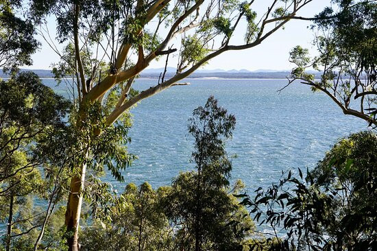 Port Stephens Native Flora Garden景点图片