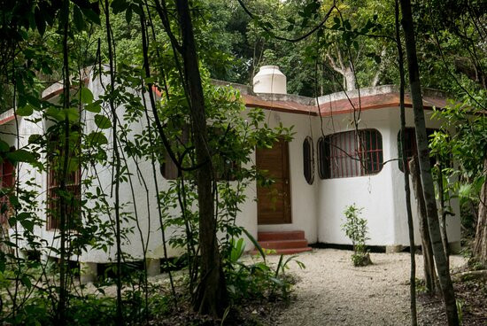 Jolie Jungle Eco Hotel主图